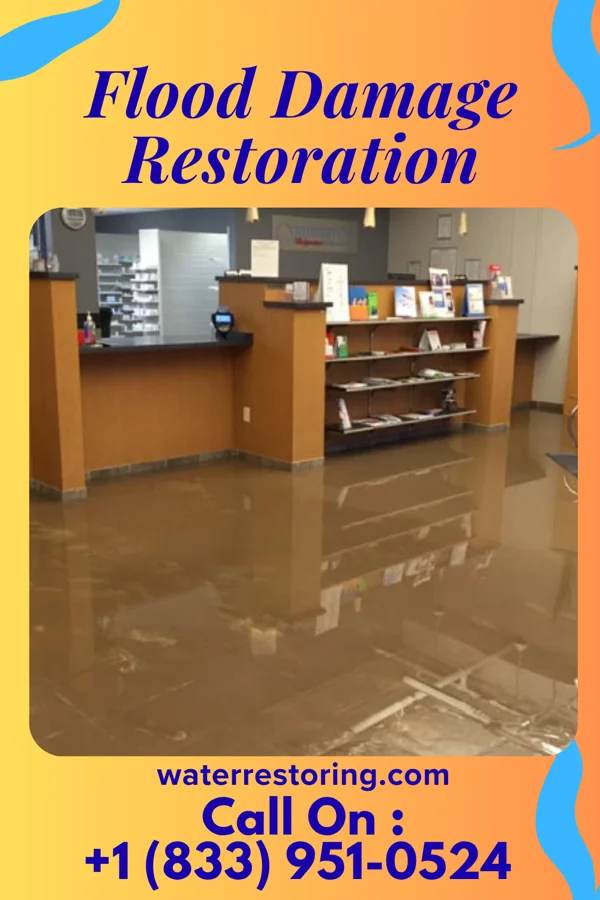 Flood Damage Restoration in Arcadia Lakes, SC