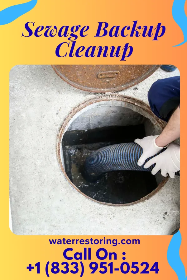Sewage Backup Cleanup in Arcadia Lakes, SC