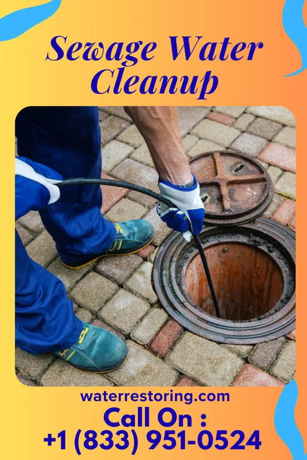 Sewage Water Cleanup in Arcadia Lakes, SC