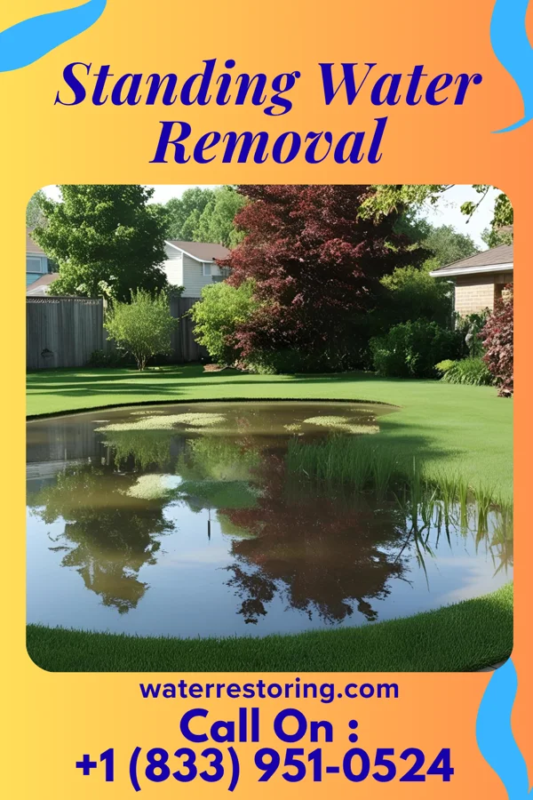Standing Water Removal in Arcadia Lakes, SC